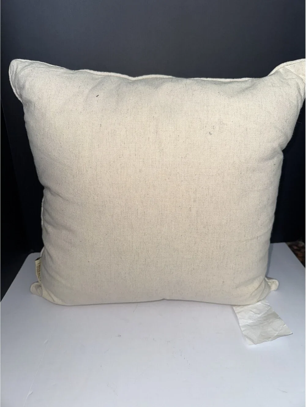 Retreat by Secret Celebrity Embroidered Horse Equestrian Decorative Pillow Beige